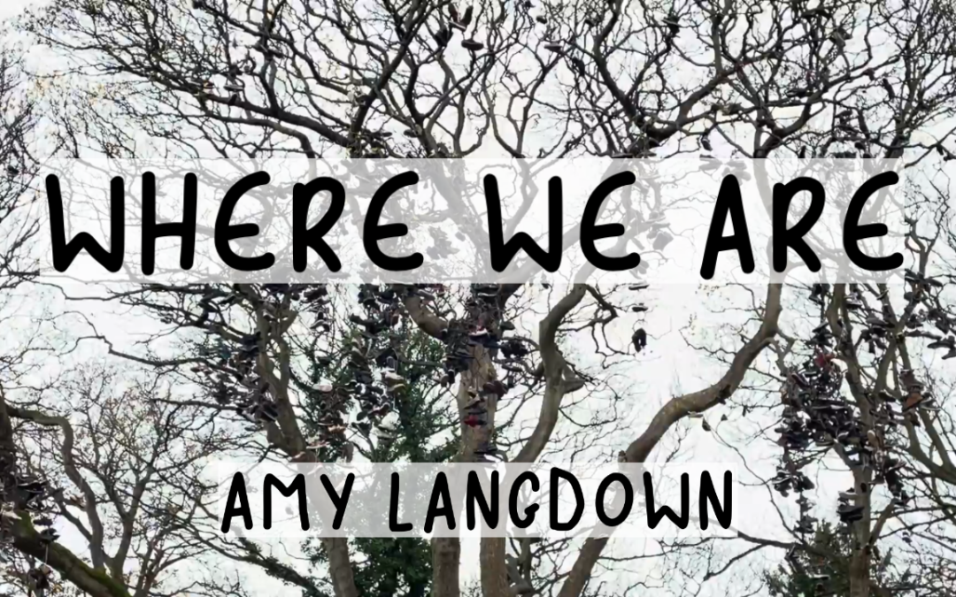 An image of the shoe tree in Heaton with the words 'Where we are by Amy Langdown' over the top.
